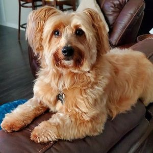 Meet your Posher, Jerijane